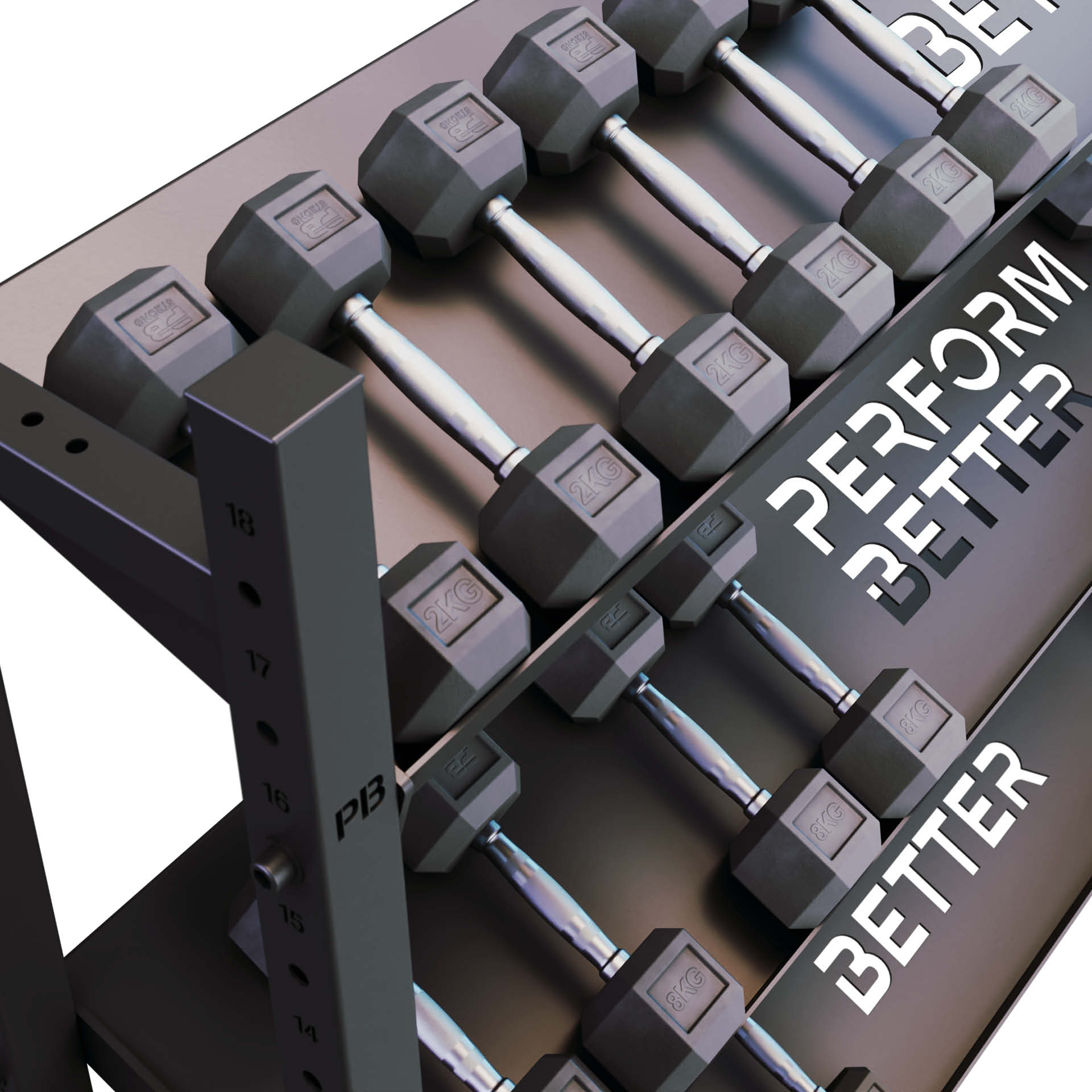 Perform Better Multi Storage 1,50m Kurzhantelablage 3 Regale (Set)