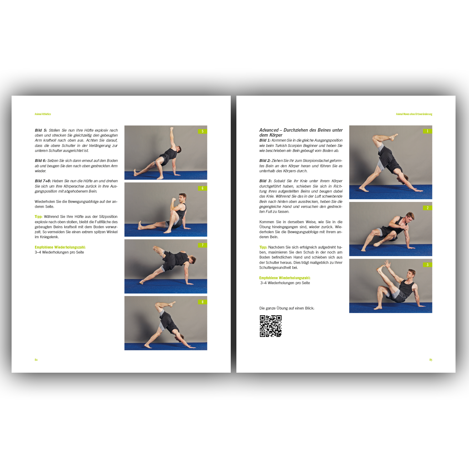 Animal Athletics (Buch)