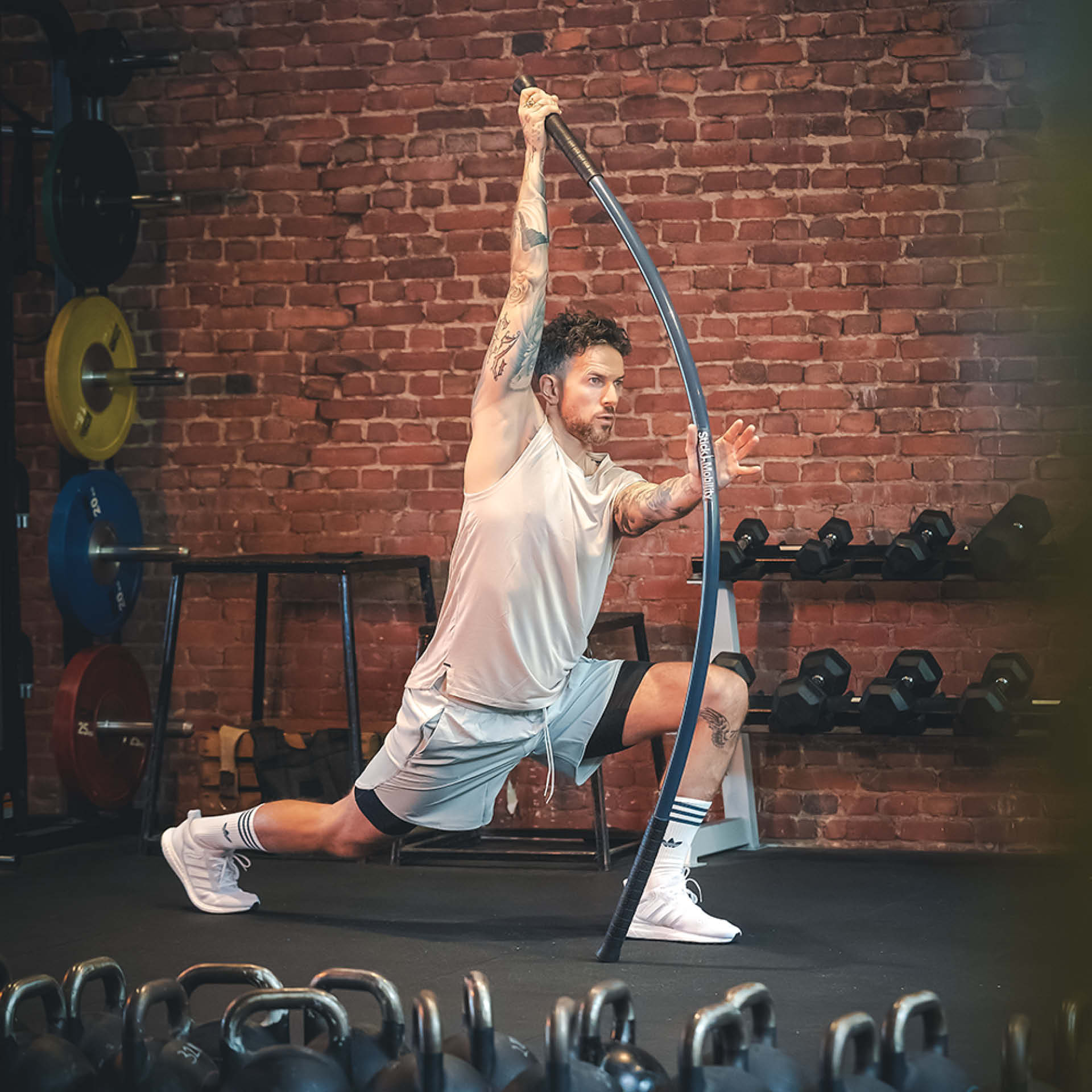 Mobility Stick - 180 cm Graphit