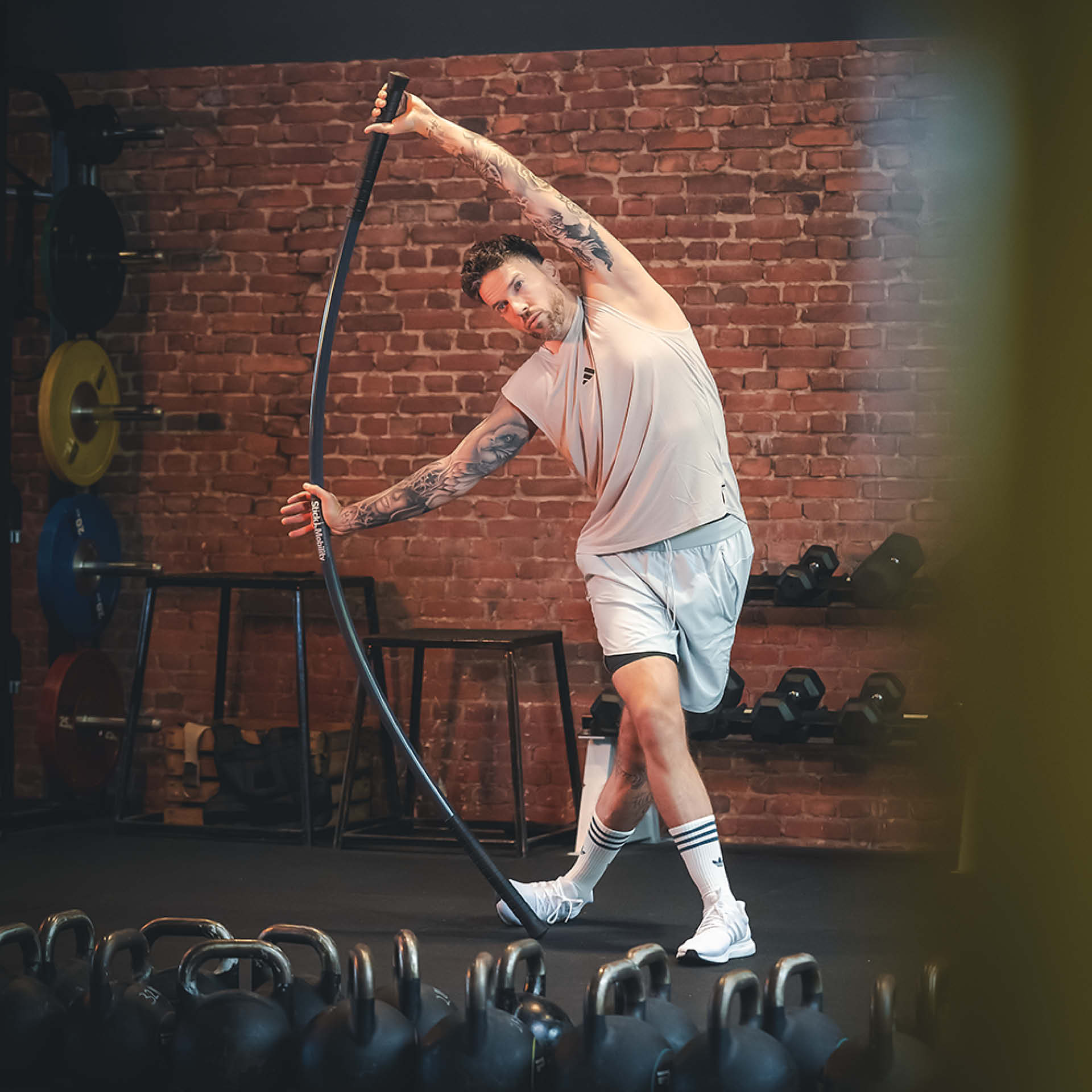 Mobility Stick - 180 cm Graphit